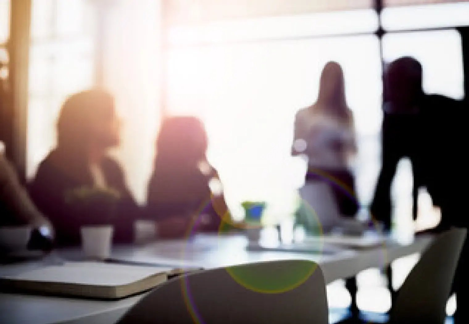 Nonprofit-Fellowship-Program